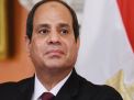 حمامة سعودية إلى القاهرة لا تقوى على الاقلاع
