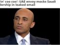 «العتيبة»: السعودية بلد «غريب الأطوار» و«بن سلمان» «براغماتي»