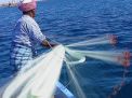 وزارة العمل “ترمي شباكها” على صيادي الاسماك في المنطقة الشرقية