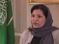الناشطة السعودية منال الشريف: سفيرتنا في واشنطن بحاجة لإذن والدها للسفر- (فيديو)