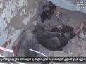 مجزرة سعودية جديدة: عشرات الشهداء والجرحى معظمهم نساء وأطفال في كشر اليمنية