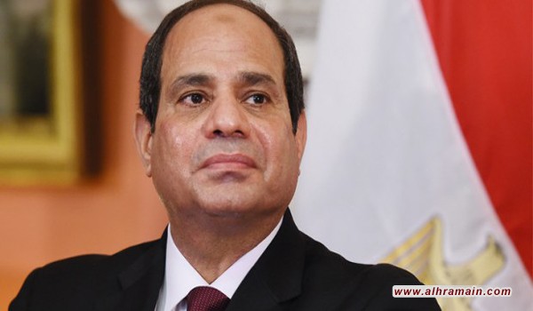 حمامة سعودية إلى القاهرة لا تقوى على الاقلاع