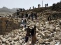 أضرار وخسائر القطاع الزراعي جراء العدوان والحصار على اليمن