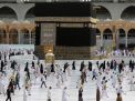 تراجع أعداد الحجيج يثير تساؤلات: أين تتجه سياسة تنظيم الحج؟