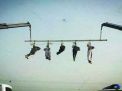 إعدام 4 يمنيين